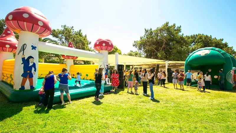 Piknik Organizasyonları